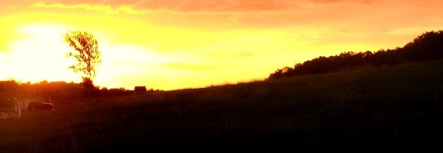 Moara Vlasiei 2 21 - 22 sep. - dsc02577-2.JPG